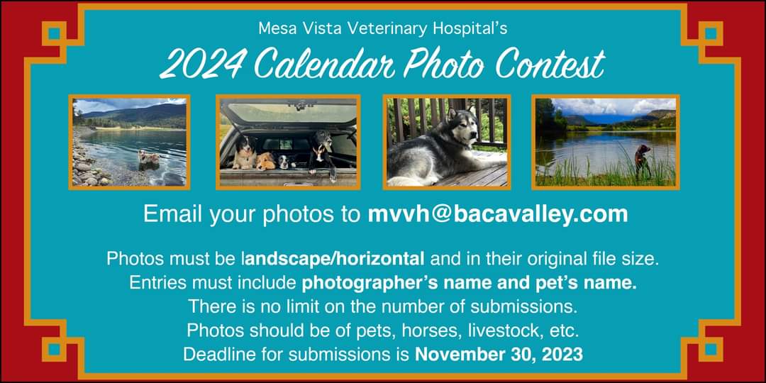 Calendar Photo Contest