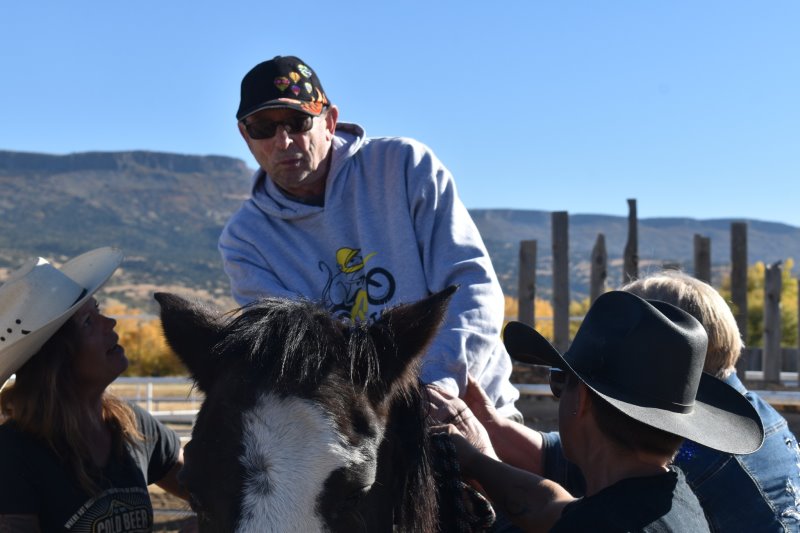 Frankie on a horse