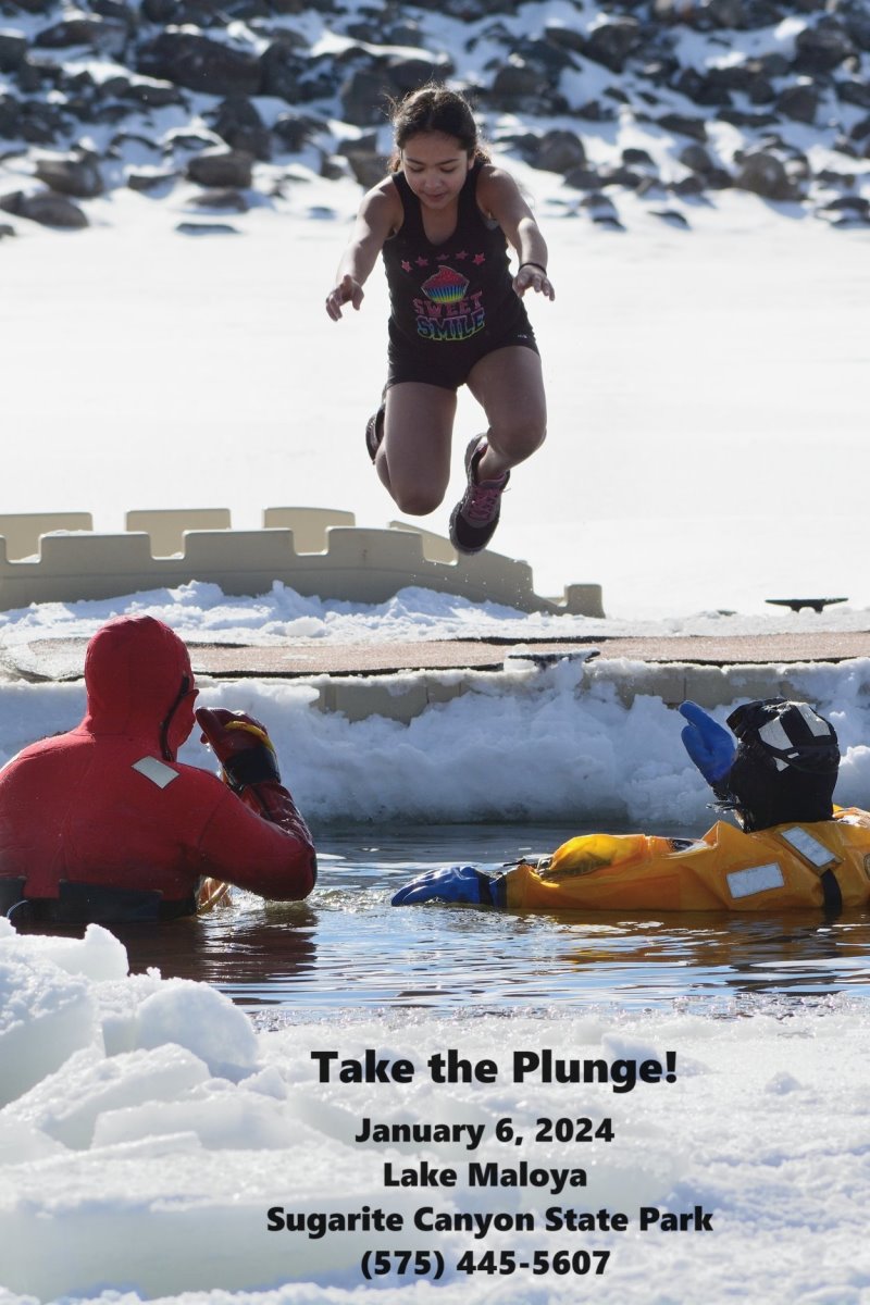 Polar Plunge - January 6-2024