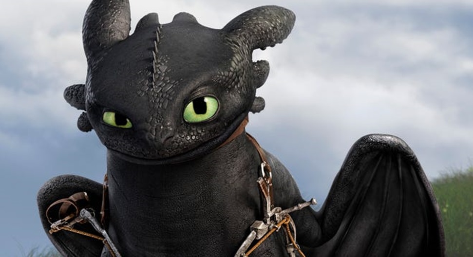 Train Your Own Dragon