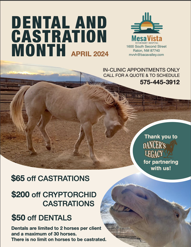 Mesa Vista Veterinary Hospital Dental & Castration Month – April 2024