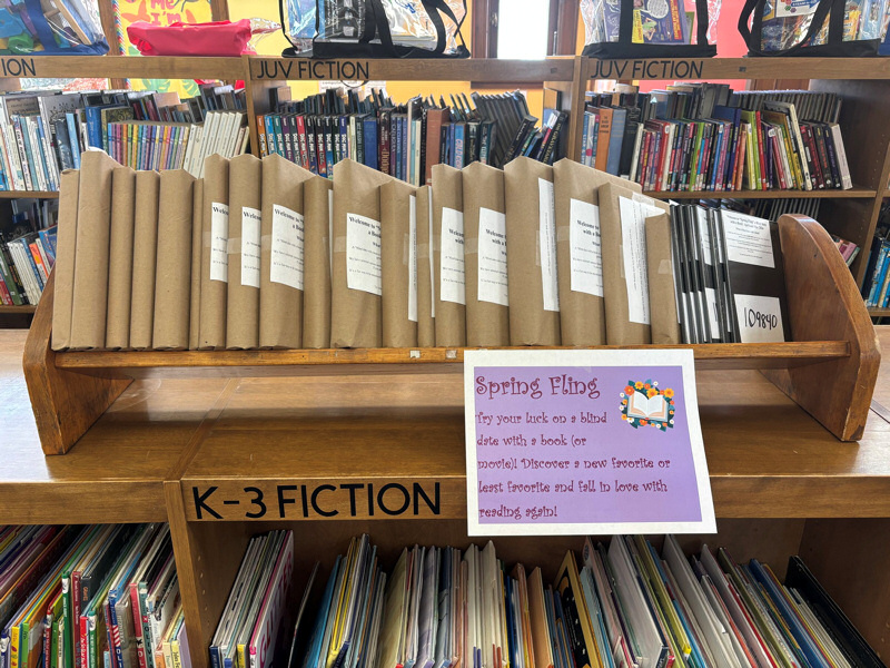 Spring Fling – Blind Date with a Book