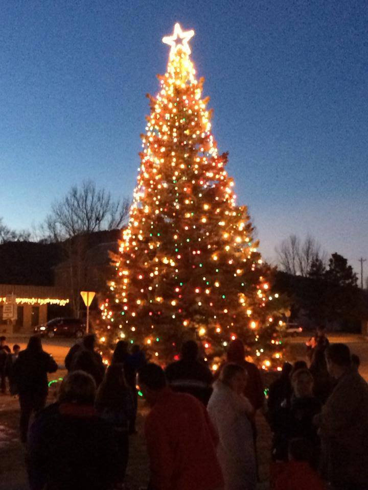 lighting of the Christmas Tree in Ripley Park