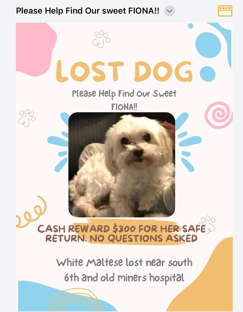Lost Dog – Reward Offered