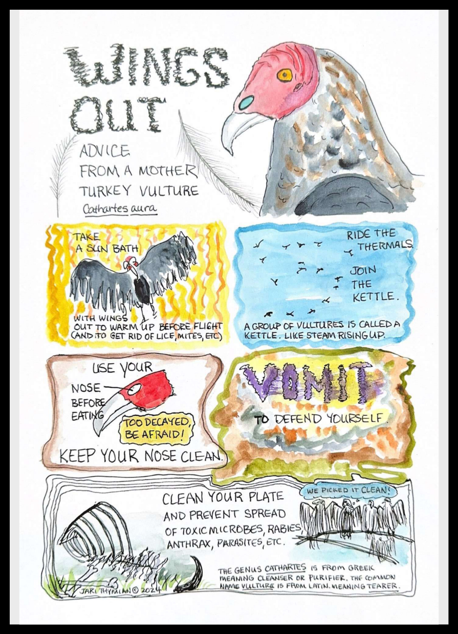 Mixed Bag Comics by Jari – Wings Out; Advice from a Mother Turkey Vulture