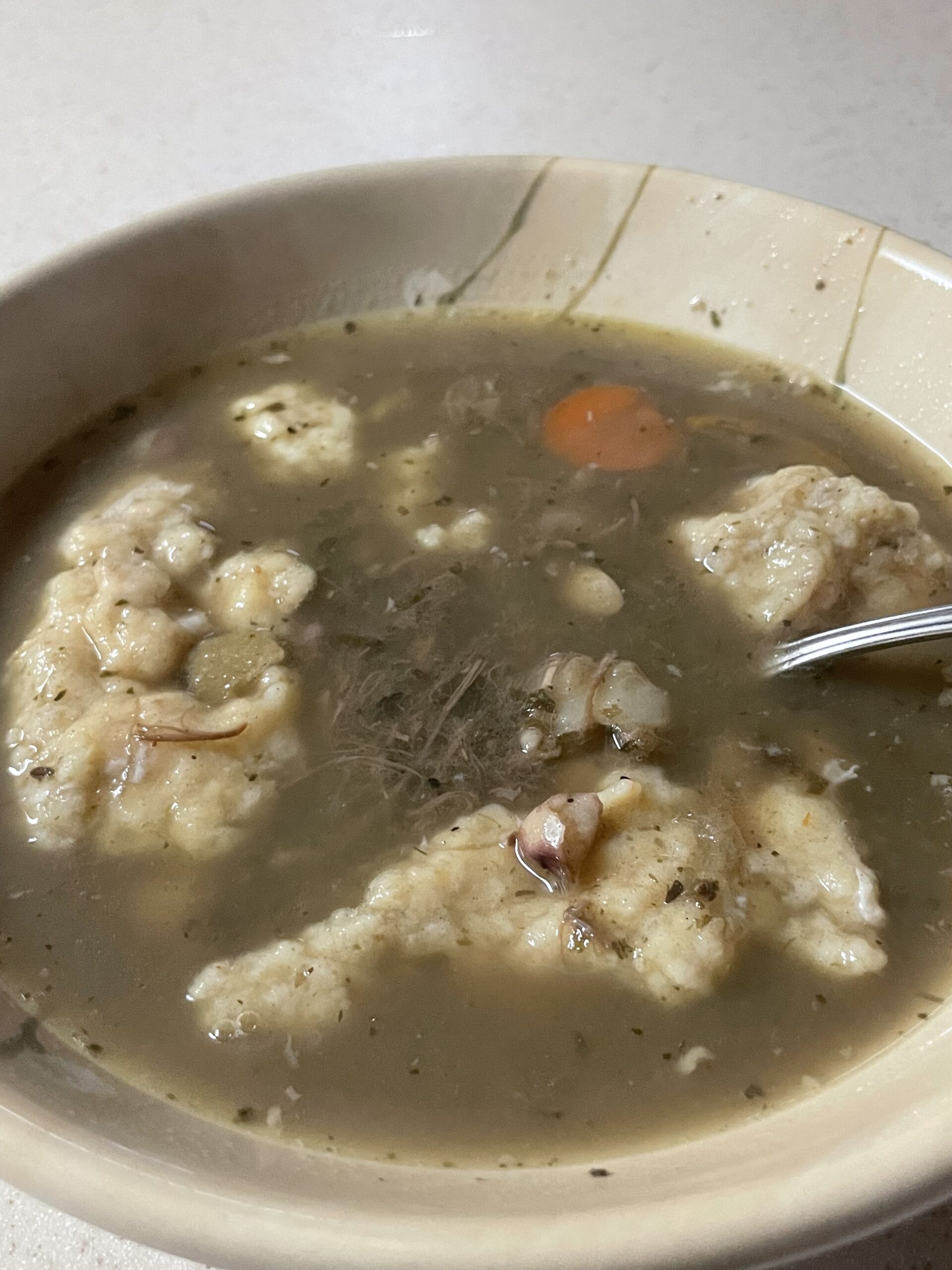 Madi’s Kitchen – Chicken Dumpling Soup