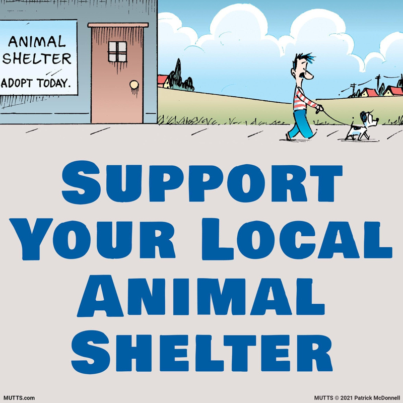 Support Your Local Animal Shelter