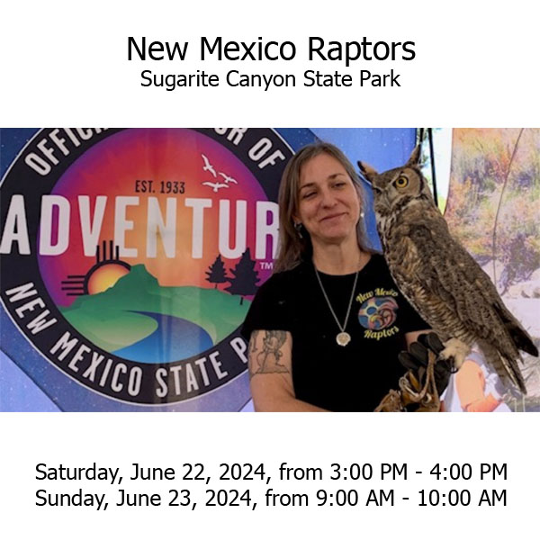 New Mexico Raptors