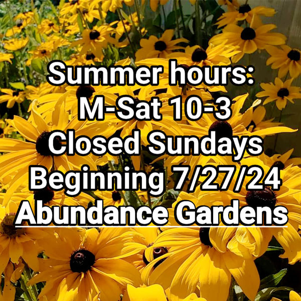 Abundance Gardens Summer Hours