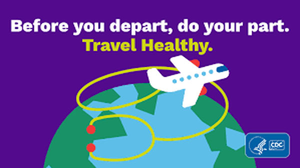 Healthy Travel by Sally Hoger