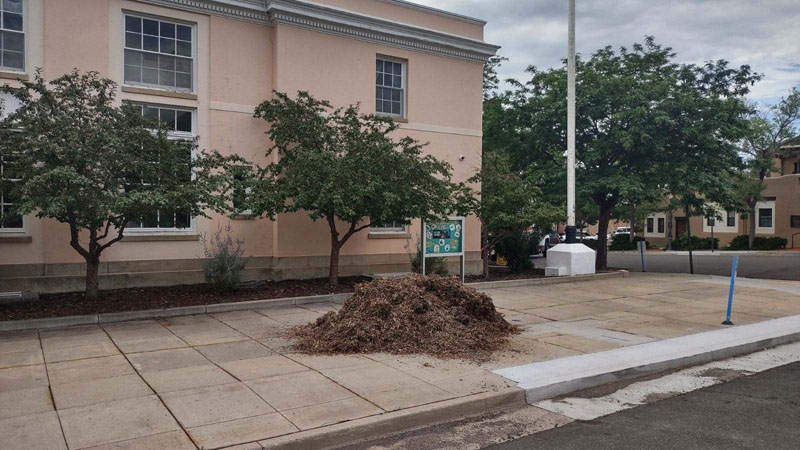 Library Beautification Mulch