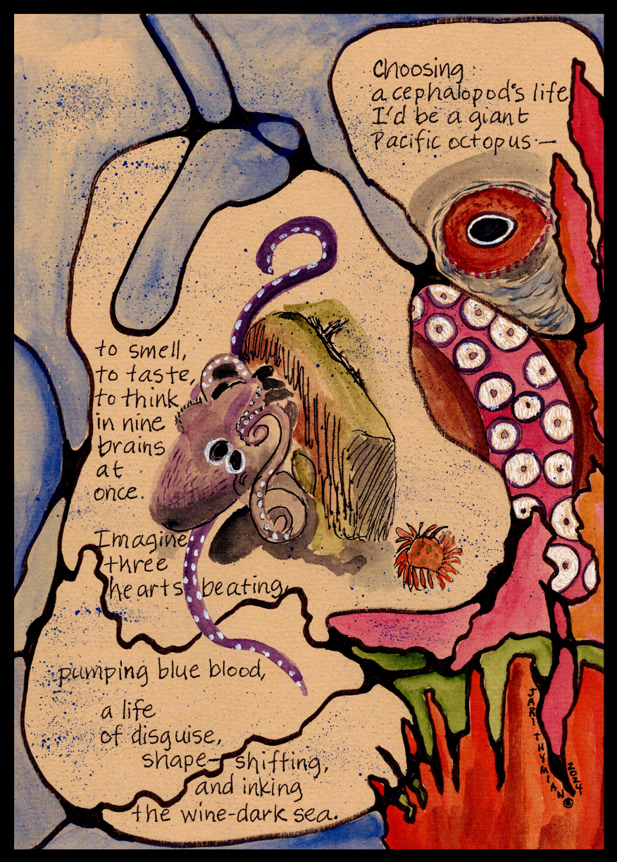 Mixed Bag Comics by Jari – Choosing a Cephalopod’s Life