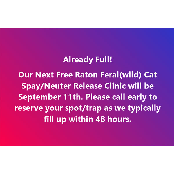 Feral Cat Spay Neuter FULL