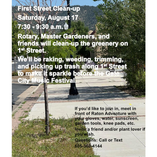 First Street Clean-Up