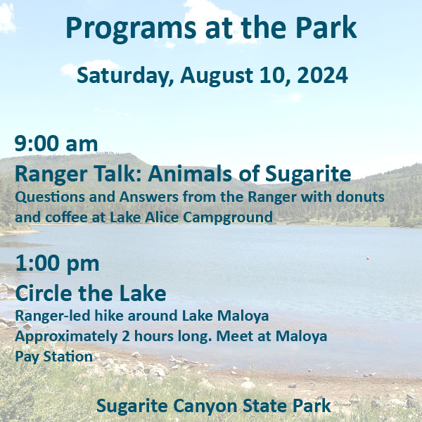 Programs at the Park Aug 10 2024