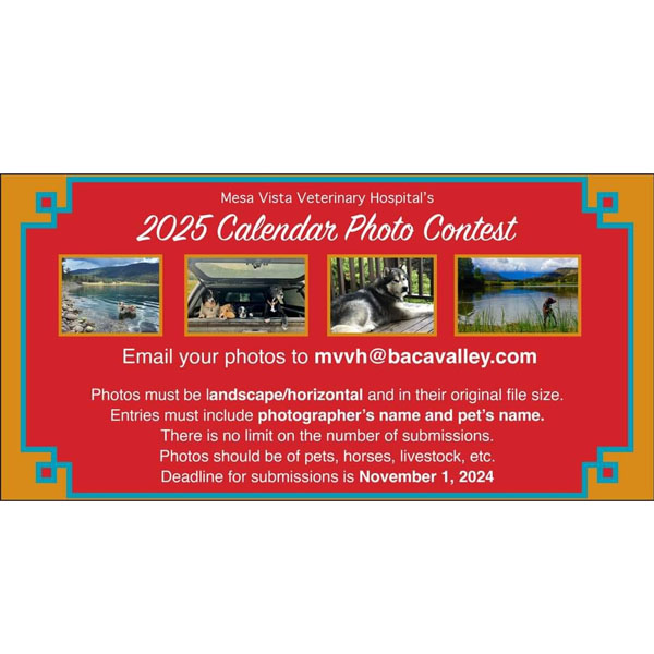 Mesa Vista Veterinary Hospital Calendar Contest