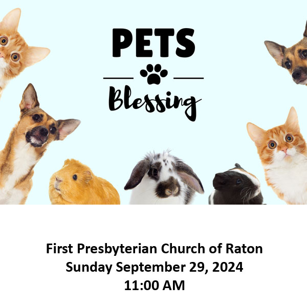 Pets Blessing