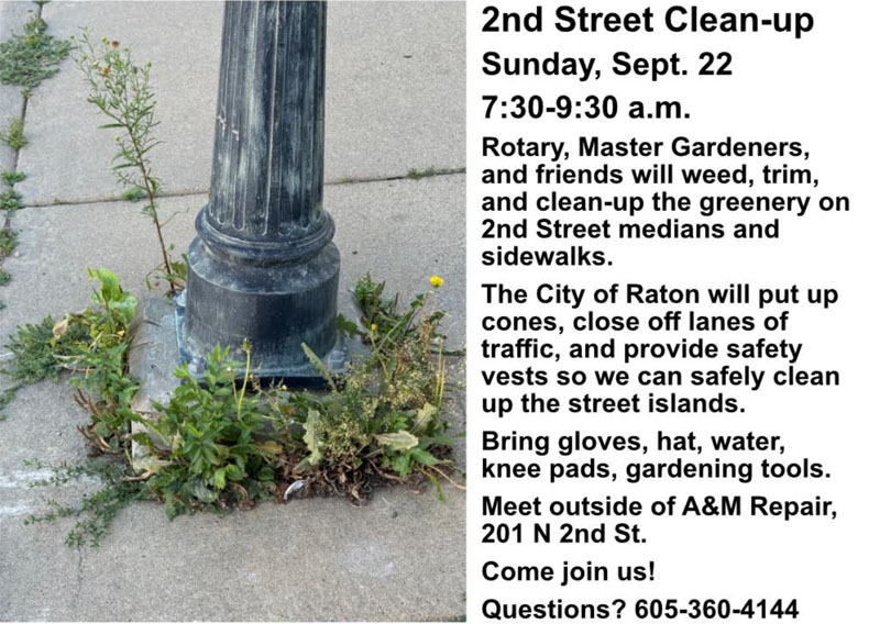 Rotary Cleanup Sept 22