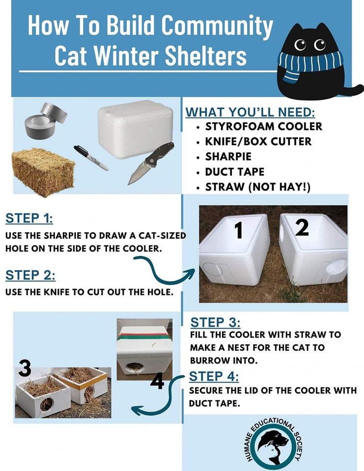 cat winter shelters