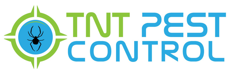 tnt pest control