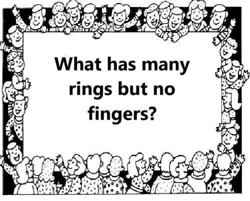 2024-11-03 rings no fingers