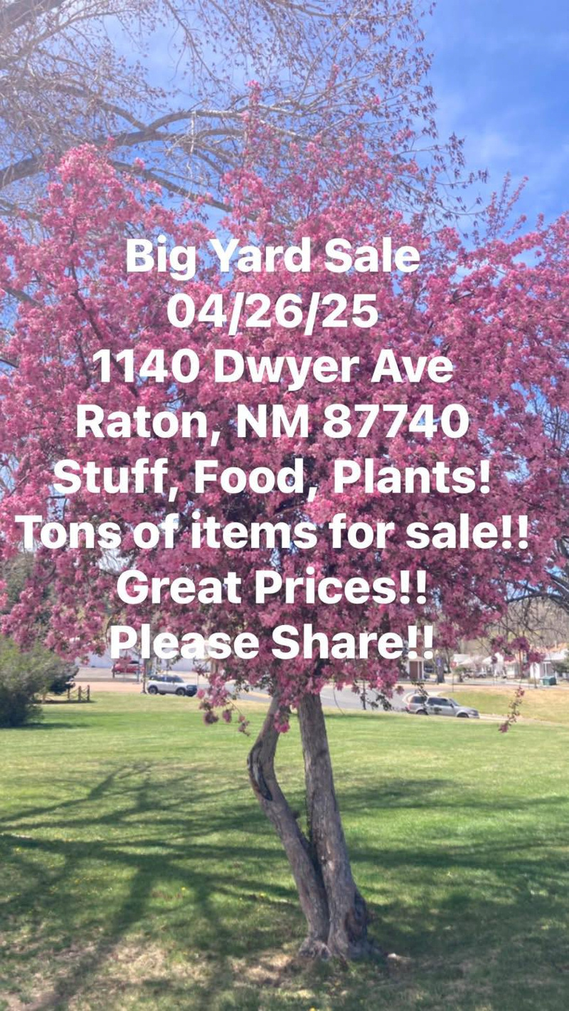 Dwyer yard sale 2025-04-26