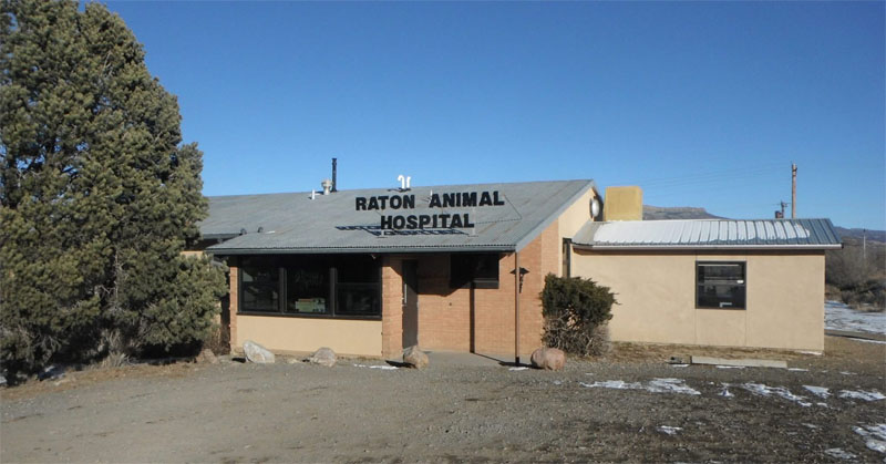 Raton Animal Hospital