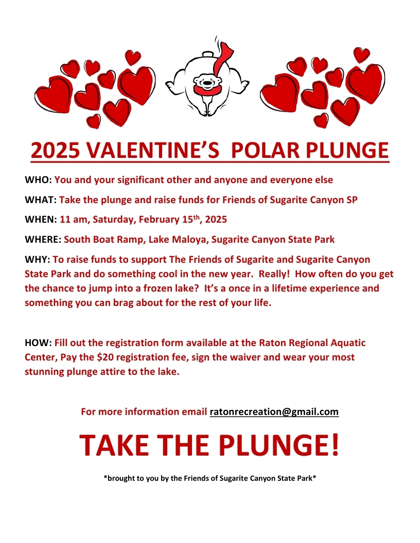 Valentine’s Polar Plunge