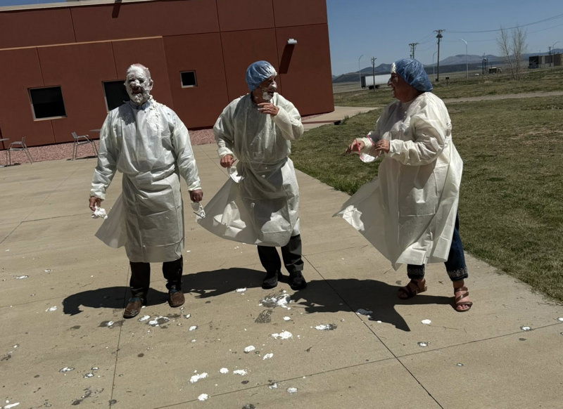 MCMC Pie throwing